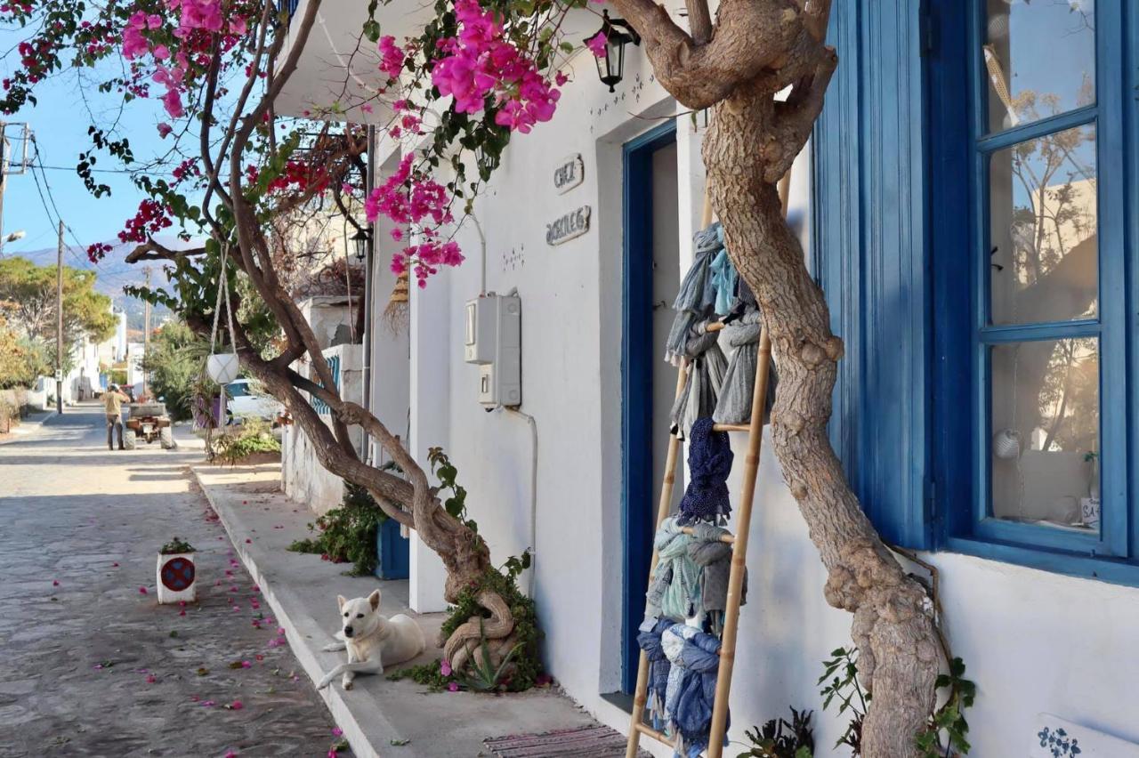 Valley View House Anópolis المظهر الخارجي الصورة
