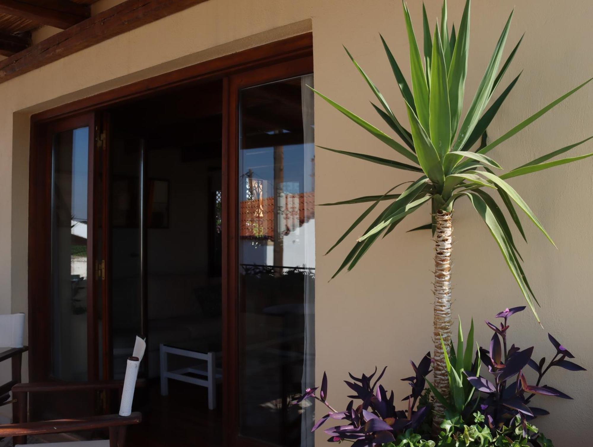 Valley View House Anópolis المظهر الخارجي الصورة